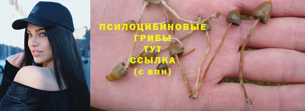 ешки Покровск