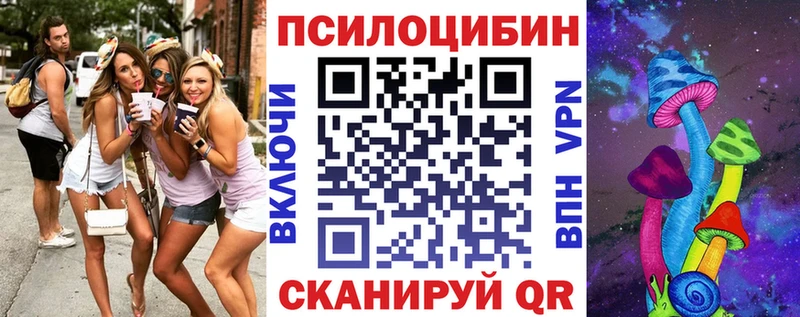 где найти   Приволжск  Псилоцибиновые грибы Magic Shrooms 